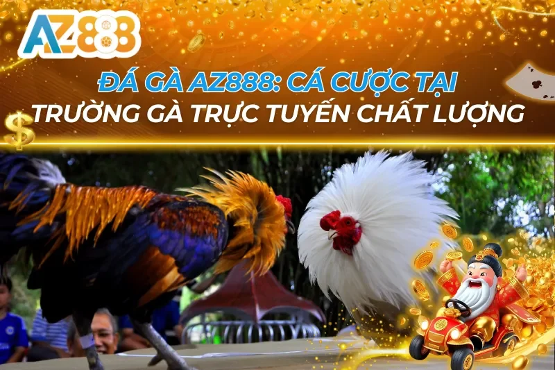 Đá Gà AZ888